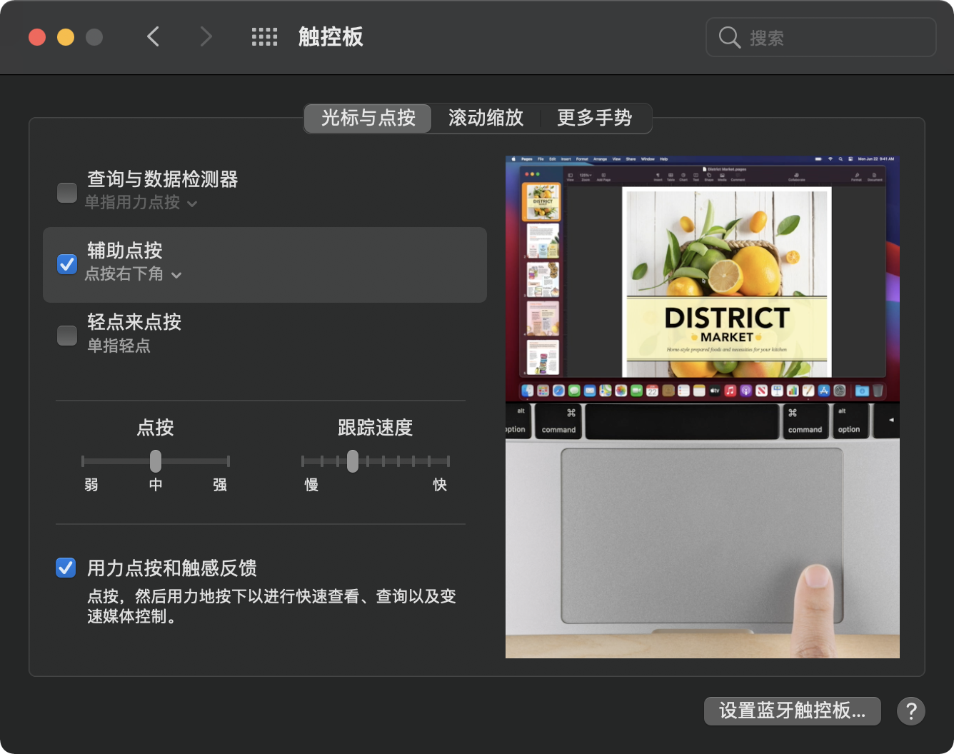 macOS 触摸板点按设置